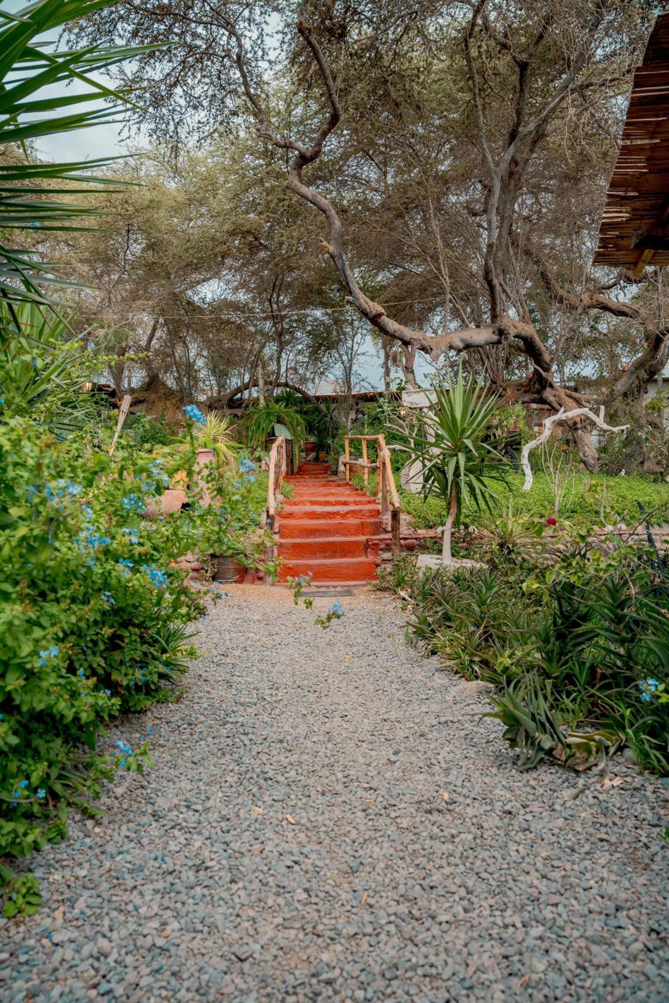 Rochabus Otel Ica Dış mekan fotoğraf