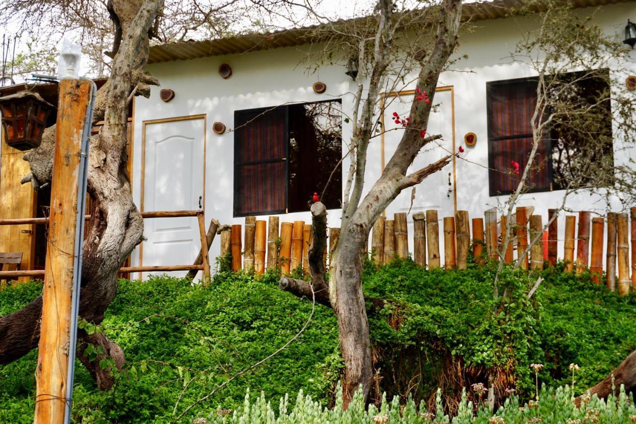 Rochabus Otel Ica Dış mekan fotoğraf