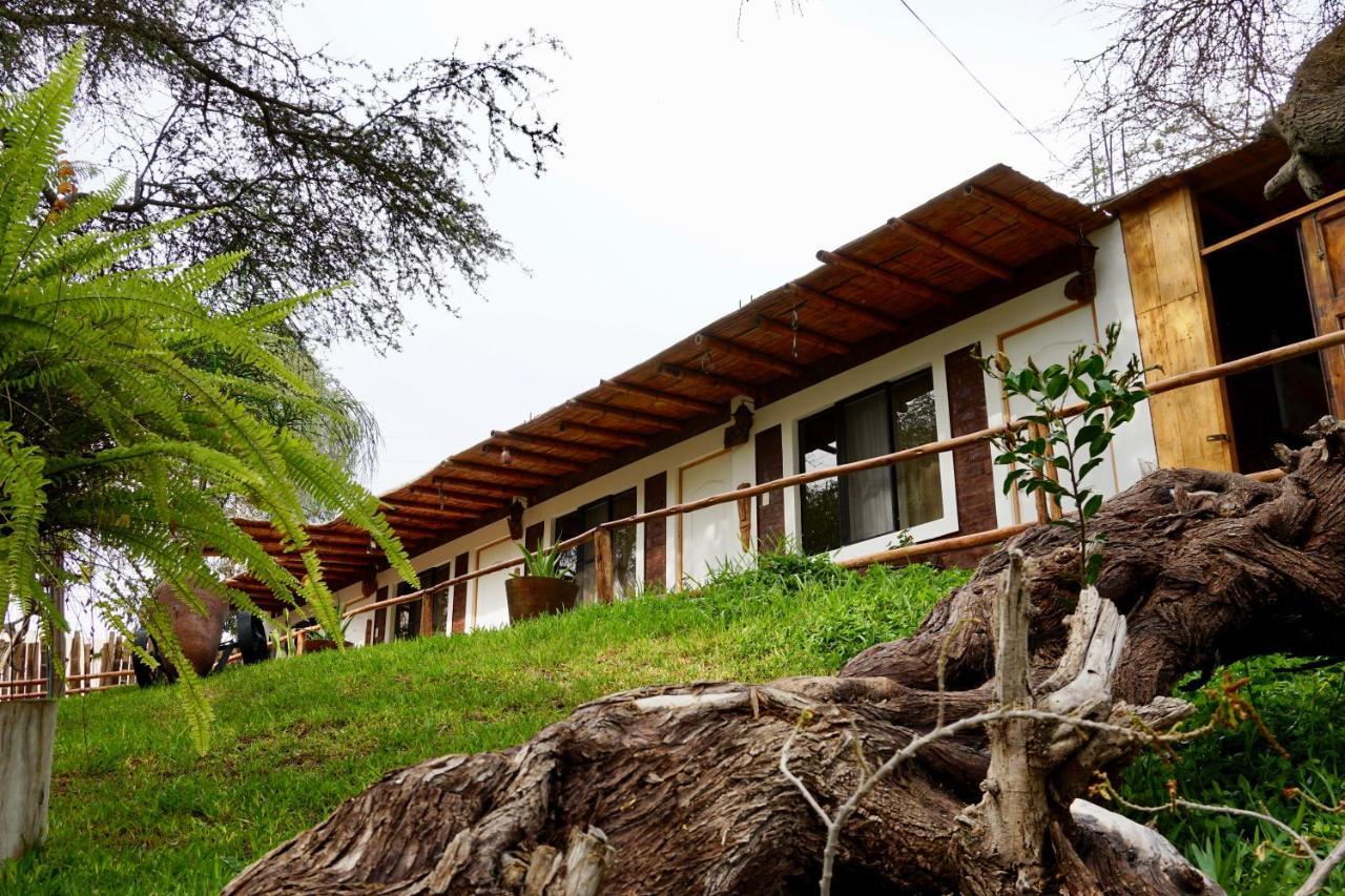 Rochabus Otel Ica Dış mekan fotoğraf