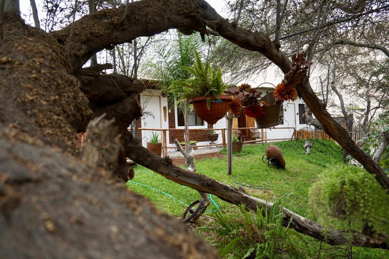Rochabus Otel Ica Dış mekan fotoğraf